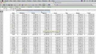How to Group the Data in Excel : Using Excel