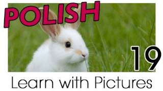 Learn Polish with Pictures - Farm Animals