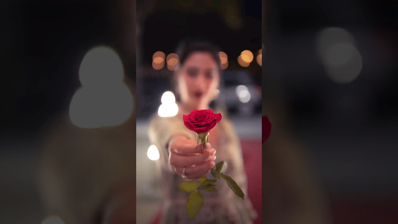 Amazing Rose Information 🌹😯💚 Did you Know these Things about Roses? 