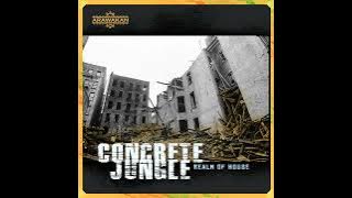 Realm of House _ Concrete Jungle (Arawakan Drum Mix)