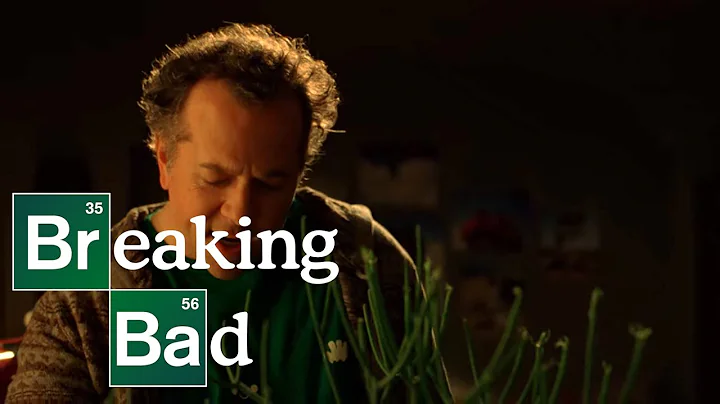 "Crapa Pelada" - AMC's Breaking Bad (S3:E13) HD