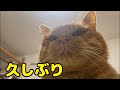 とんでもなくお久しぶりでございます