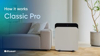Classic Pro Tutorial