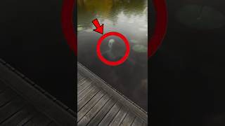 إذا رأيت هذا المخلوق تحت الماء لا تتحرك و إبق صامتا 🤯 !!