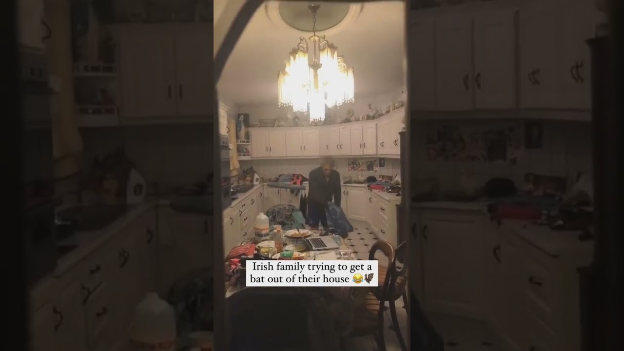 There S A Bat In Mi Kitchen