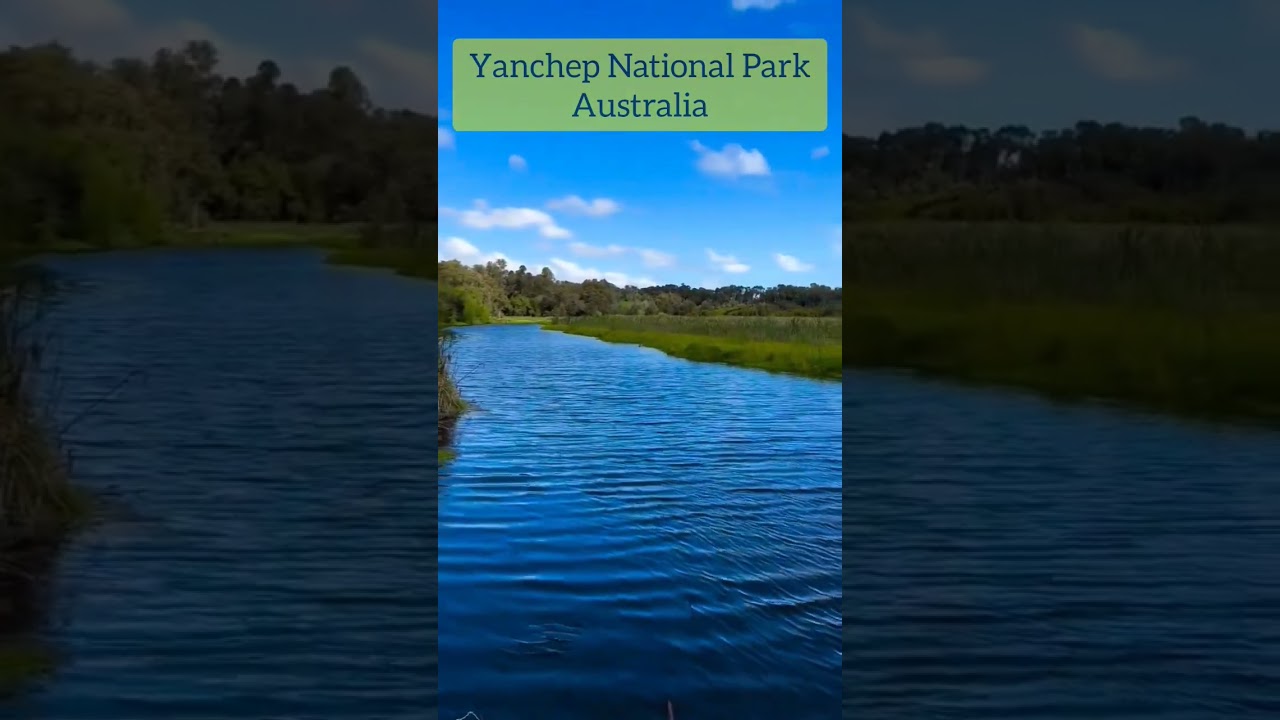 Yanchep National Park | Australia Exploring 
