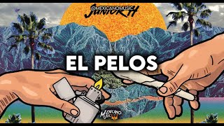 Video thumbnail of "El Pelos · Junior H  & Jr Torres (2022)"