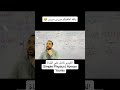 أعاقبكم واحد واحد
