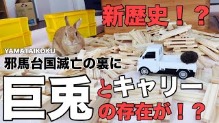 卑弥呼様もお手上げの進撃の巨兎現る！ #545