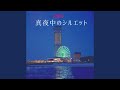 真夜中のシルエット