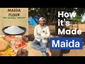 Maida : How it's Made ?    मैदा कैसे बनता है  || Refined wheat Flour || Farming Engineer ||