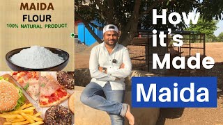 Maida : How it's Made ?  |  मैदा कैसे बनता है  || Refined wheat Flour || Farming Engineer