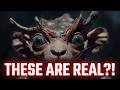 Animals That Look Fake But Are Real