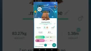 PILOSWINE EVOLVE AS A MAMOSWINE BUT|||| CP IS