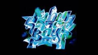 ZAZEN BOYS - CRAZY DAYS CRAZY FEELING
