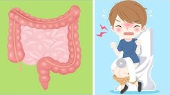 Alkohol lustig wirkt studimup alkoholsucht körper trinken biologie mpu schlaumeier menschlicher gesunde nahrung wohlbefinden ernährung chakren zahnstein beantworten dauert nüchtern ᐅ Natürlich Abführmittel in 2022 ⭐️ Endlich abnehmen!