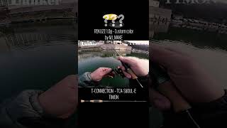 Trout Fishing in KOREA.2023.12.9 at Jangkwang #티몬 #Timon#런커몰 #Lunker