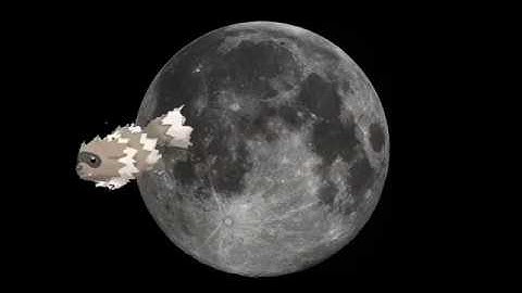 Zigzagoon Runs Around the World (Cutting Test)