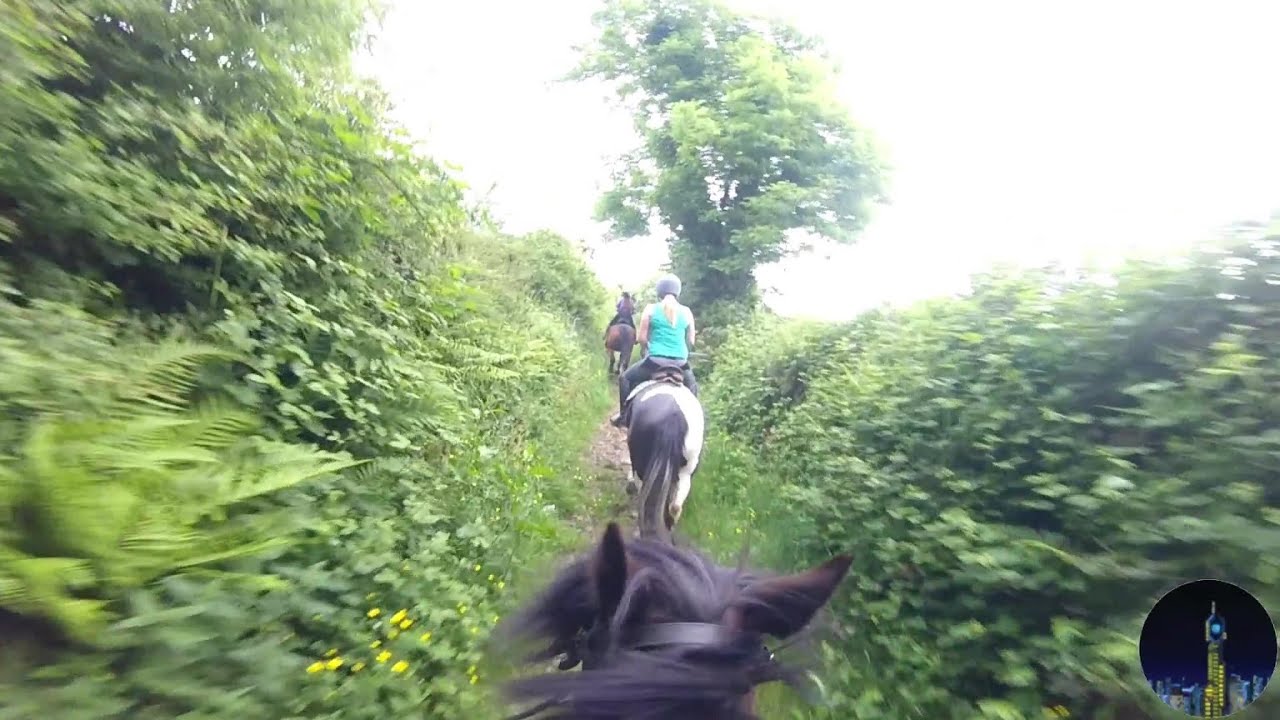 Trail Riding at the West Cork Equine Center Beautiful Scenery! YouTube