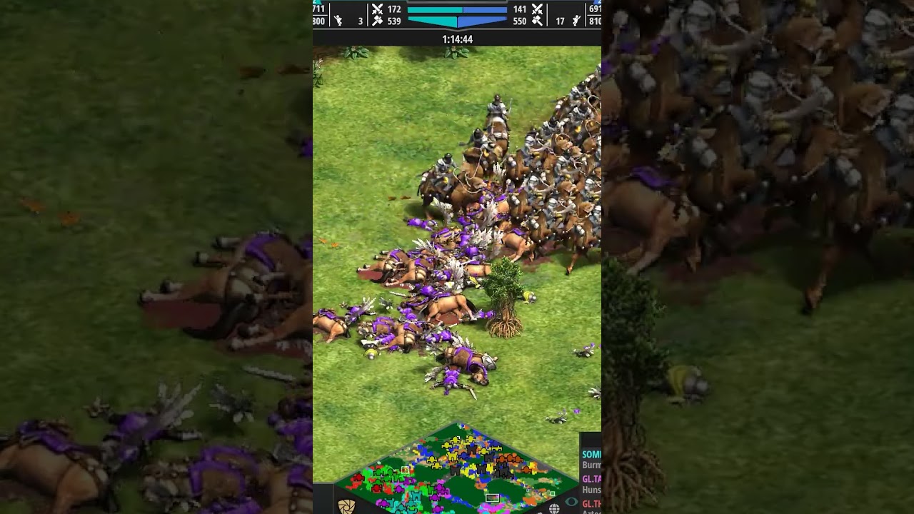 TaToH learns an expensive lesson