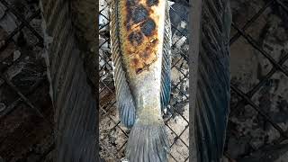 #Grill bigfish,tasty forest bigfish,natural bigfish,cooking fish.