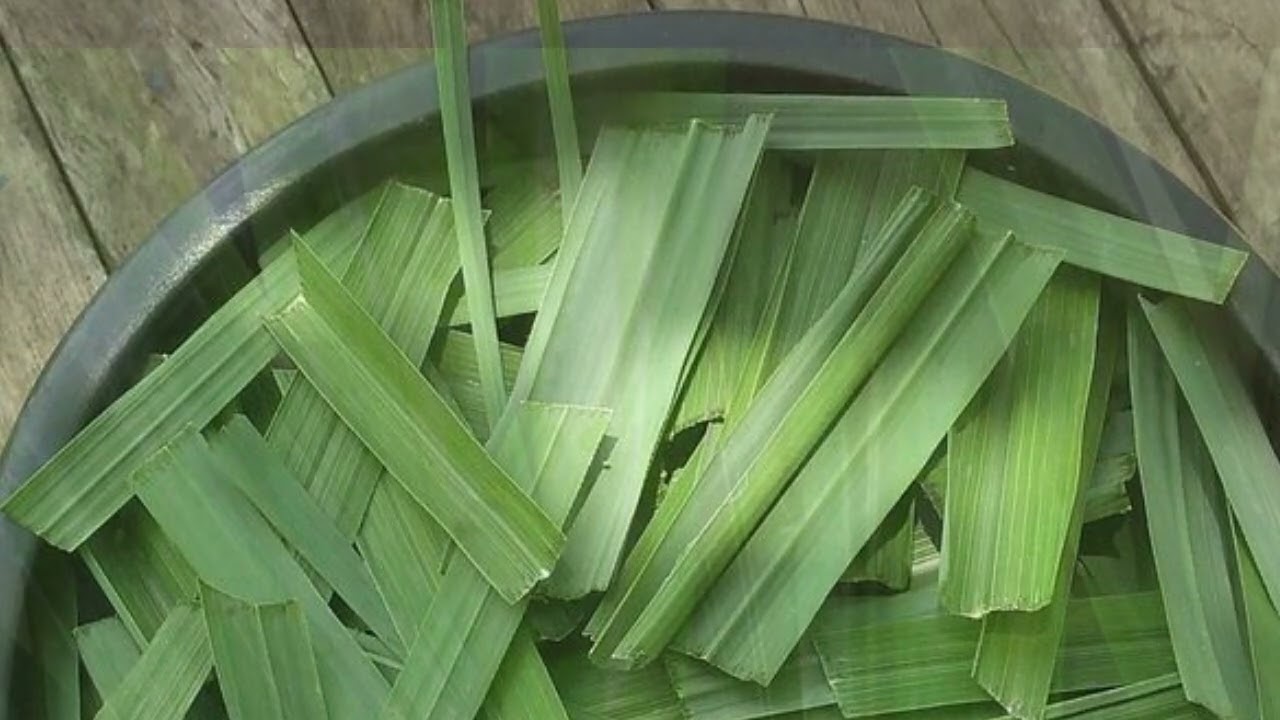 Dried Pandan Leaves | THAI ECO HERBS