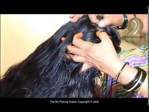 Knee Length Long Hair Lady Heavy Oiling And Nit Picking Video By