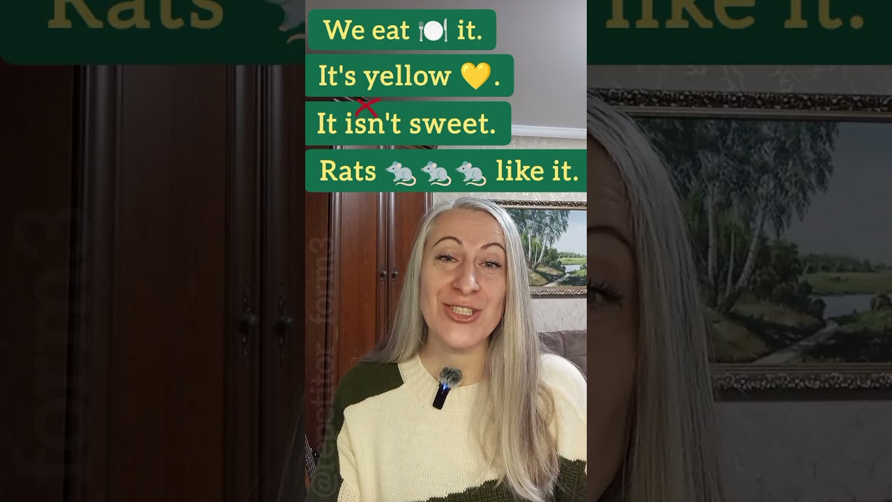 Unit5. Lesson 9. Getting ready for a picnic.(Готовимся к пикнику. Учимся составлять загадки про еду)