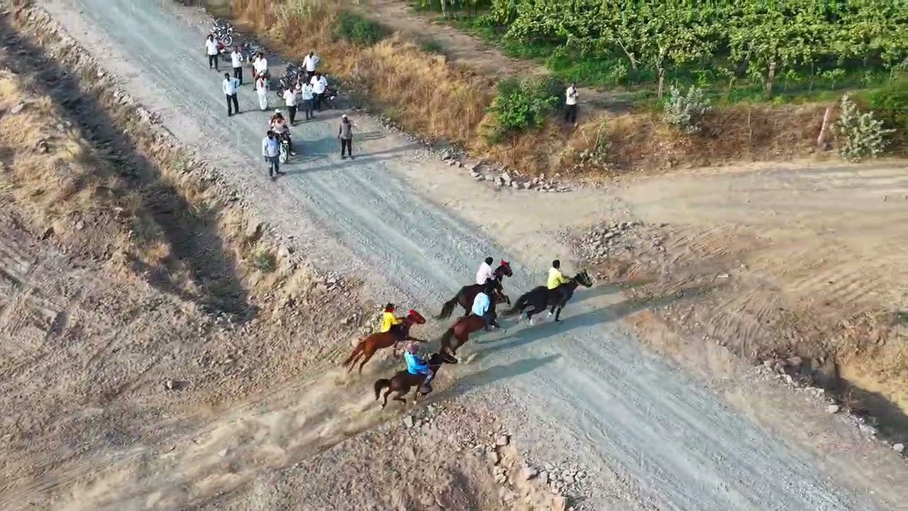 बमनाळ यात्रा बसुन घोडा शर्यत 