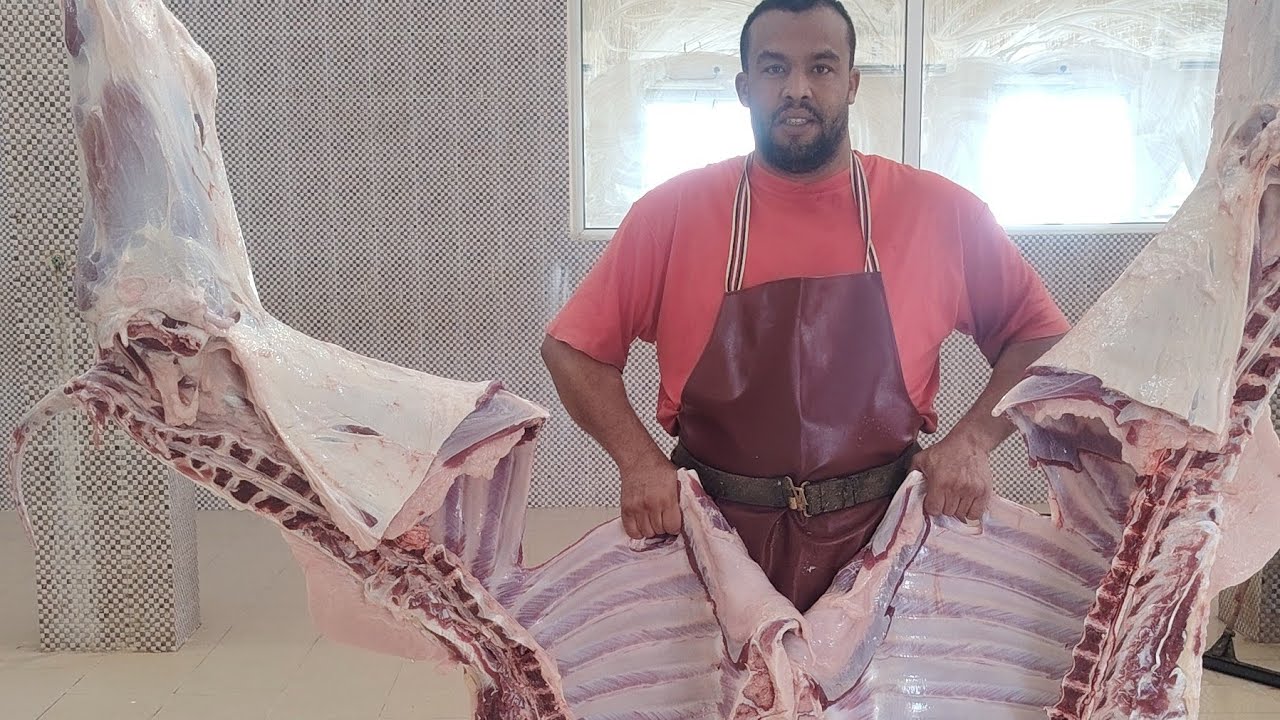 جوله في سيارات السعودية 🇸🇦