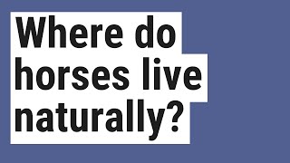 Where do horses live naturally