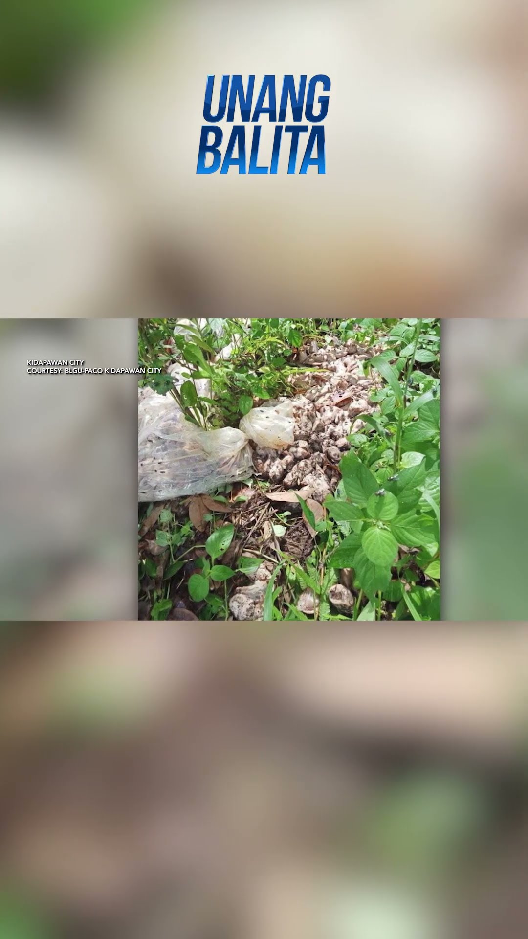 Nasa 300 kilo ng nabubulok na karne ng manok, natagpuan sa bakanteng lote #shorts | Unang Balita