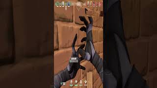 melhor COACH do VALORANT! #valorant #valoranttips #valorantclips #valorantclutchmoments #funnyvideo