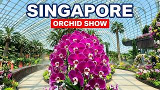 🌸 Orchid Therapy | Singapore Award-Winning Orchid Show 2026 (Flower Dome)🇸🇬🌼💮