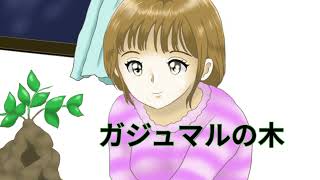 【オリジナル曲】ガジュマルの木/初音ミク