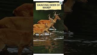 Is Loktak Lake Dying? Manipur’s Floating National Park &amp; Sangai Deer in Danger? #upsc