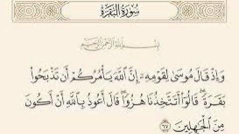 🎤من تلاوات الصلاة/////ما تيسر من سورة البقرة //////// القارىء د. احمد بدوى