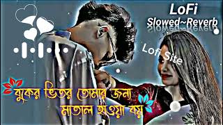 Buker Vitor Tomar Jonno Lyrics | বুকের ভিতর তোমার জন্য মাতাল হাওয়া বয় | Slowed~Reverb | Bangla Lofi