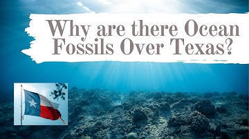 WHY are there Ocean Fossils over Texas? | Ben Burkhardt