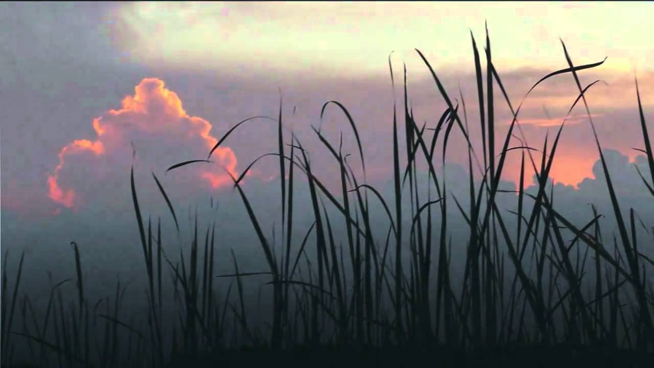 Maurice Ravel / Pavane for a Dead Princess YouTube