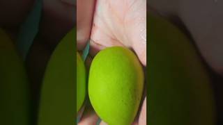 mango 🥭  makha #easy #love #lifeisbutadream #food