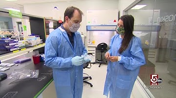 Providing an alternative to animal testing