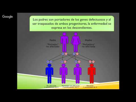 Vídeo: Fenilcetonuria: Tipos, Síntomas, Tratamiento