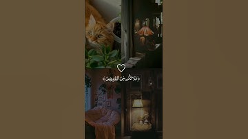 تلاوة خاشعة جميله بصوت هزاع البلوشي ارح سمعك ❤ #هزاع_البلوشي #اكسبلور