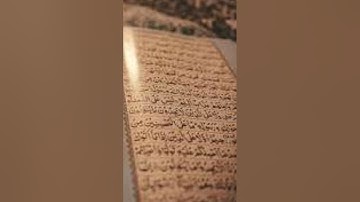 تلاوة خاشعة لسورة القلم | من قلب غزة