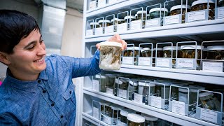 Academy Breakfast Club, Ep. 2: Dr. Lauren Esposito on Arachnids