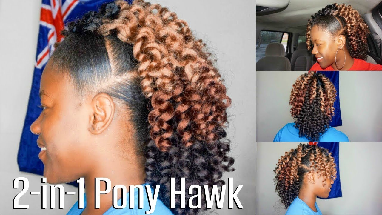 BRAIDLESS PONY HAWK | NATURAL HAIRSTYLE