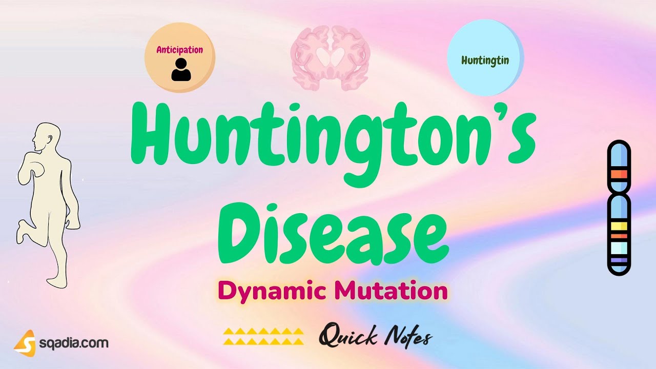 Dynamic Mutation | Huntington's Disease | Medical Genetics for Students