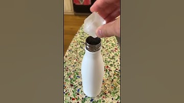 Critter Catcher #shorts #short