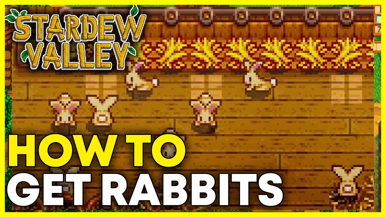 How to Get Rabbits in Stardew Valley (Full Guide) YouTube